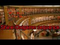 What does Shine-Dalgarno sequence mean?