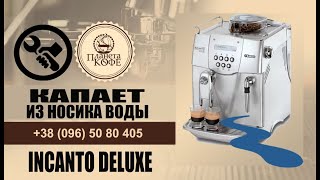 Incanto Deluxe капает с носика воды. Простой ремонт своими руками.