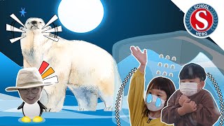 북극곰이 영하 40도 추위를 이기는 방법은? Do you know the way to get over the cold (minus 40 degrees) of polar bear?