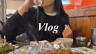 [VLOG] 꽁꽁 얼어붙은 내몸은 술로 녹여줍니다 😹 | 닭볶음탕 | 야채곱창 | 카레 | 김치전 | 김치어묵우동 |