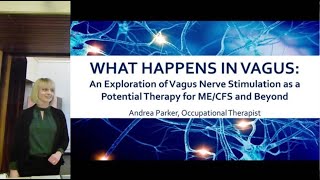 Vagus Nerve Stimulation: ME/CFS and Beyond