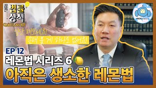 잠깐 법률상식 - 레몬법 6편 한국인에게는 아직 생소한 레몬법