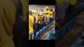 Mamelodi Sundowns fans fighting after the defeat by TS Galaxy 😂😂 #Shorts
