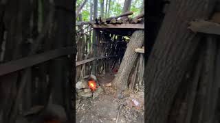 Found this hut in the woods