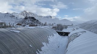 Do you want to grow veggies in snow? | the trick is here | Do this little thing