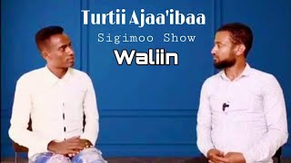 Turtii Sigimo show waliin Kutaa xumuraa