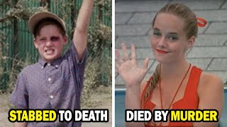 The Sandlot (1993 vs 2025) Cast: Then and Now, Uncovering Their Tumultuous Lives
