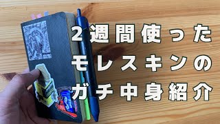 【ノートの中身】２週間使ったモレスキンをガチでパラパラする【バレットジャーナル】