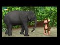 ఏనుగు మరియు కోతి elephant and monkey stories