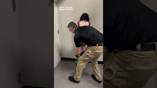 12-year-old Arrested After Threatening Teacher, Saying She Will 'Shoot Up' Florida School: VSO