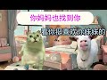 看一遍笑一遍 内容过于真实 猫meme小剧场 意想不到的结局