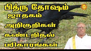 பித்ருதோஷம் ஜாதகம் அறிகுறிகள் கண்டறிதல் பரிகாரங்கள் SYMPTOMS OF PITHRU DOSHA | Pithru Dosha Remedies