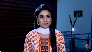 Naagini - Full Episode - 443 - Revenge Story - Indian Popular Kannada Tv Serial - @zeekannada