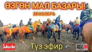 Өзгөн мал базары! 14 Ноябрь