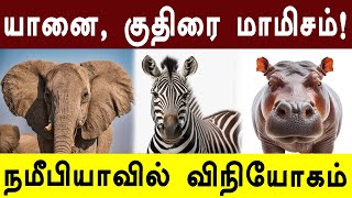 உணவு பஞ்சம் - யானை மாமிசம் வழங்கும் நாடு!