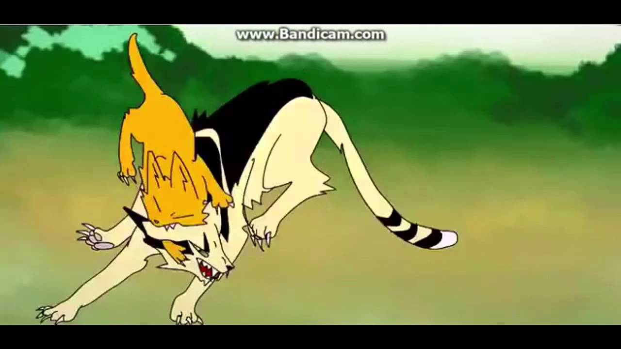 Sss Warrior Cats Longtail