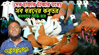 অবাক হবেন দের হাজার টাকার মধ্যে সব ধরনের পৃথিবীর সেরা আকর্ষণীয় কবুতর কিনুন ৫০০ টাকা পিস কবুতর