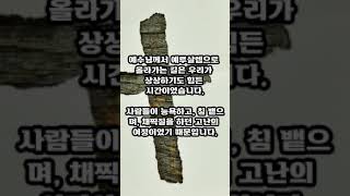 392. 인자가 온 이유