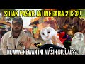 SIDAK PASAR JATINEGARA 2023!! HEWAN-HEWAN INI MASIH DI JUAL??#AudreyA #KINGOFTHEJUNGLE