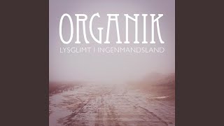 Lysglimt I Ingenmandsland