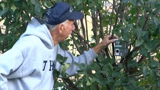 Mike the Mailman: Postman, Post-Retirement