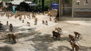 泰國華欣猴子山城 Monkey Mountain@筷子山Khao Takiab Hua Hin