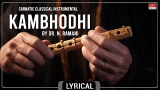 Carnatic Classical Instrumental | Kambhodhi | By Dr. N. Ramani