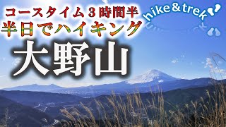 冬の低山【大野山】🚃西丹沢から富士まで連なる絶景。今回は酒匂川の歴史や魚道についてもまとめてみました😀。初心者にとてもおすすめ！