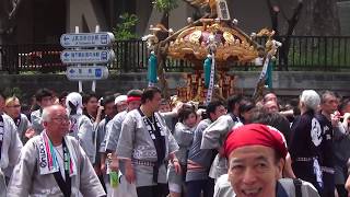 神田祭'19 神輿宮入 湯島聖堂前 神田錦町