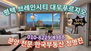 평택 브레인시티 명품 아파트 대우푸르지오 최대 단지 최대 평수 어떤지 보러갈까?