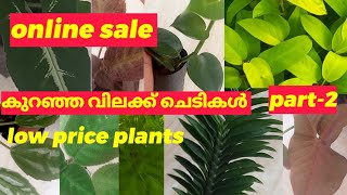 കുറഞ്ഞ വിലക്ക് ചെടികള്‍/50Rs താഴെ ചെടികള്‍/50Rsunder plants/online sale ph7034495768/low cost plants