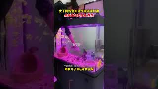 女子网购鱼缸漏水还被店家拉黑，果断鱼缸变鸡窝养起小鸡！