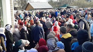 Освячення Великодніх кошиків у Церкві Святої Трійці ПЦУ м.Коростишів.