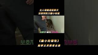 主人領養退役軍犬，沒想到對方膽小如鼠，一年時間沒離家超過50米#shorts