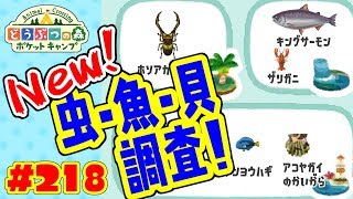 新しい🐞🐟🐚を捕獲調査して動物に与えてみた！【ポケ森】#218 新しい虫・魚・貝が登場！捕獲、価格、動物の反応を調査！