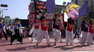 安濃津よさこい2011　三重情熱組