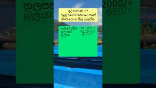 අලුත්ම මාළු මිල 2025.01.07 අඟහරුවාදා fish market price list peliyagoda #fish #fishprice #peliyagoda