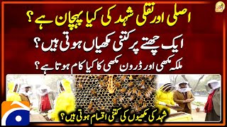 Real vs Fake Honey - How many bees are in a hive? - Types of Bees - Aik Din Geo Kay Saath - Geo News