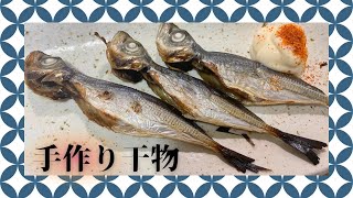 【完全手作り】絶対うまい奴！自分で作る1尾10円の干物だよ#おうちごはん #料理 #鯵