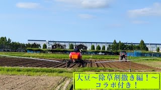 【大豆】大豆〜播種後の除草剤撒き編！〜【盈科】