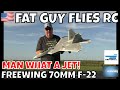 FREEWING 70MM F-22 WHAT A JET by FGFRC #aviation #rcjets #aircraft #rc