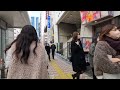 【4k】walking in yoyogi park of tokyo famous for its rows of zelkova trees ケヤキ並木で有名な代々木公園を散歩