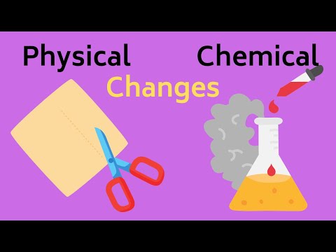 What are some examples of chemical and physical changes?
