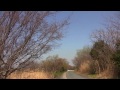 淀川畔の散歩・枚方～太間 2012 03 along yodo river