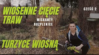 WIOSENNE CIĘCIE - TRAWY OZDOBNE. Turzyce wiosną - ogród dla początkujących.