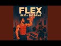 FLEX (feat. BiG DanG)