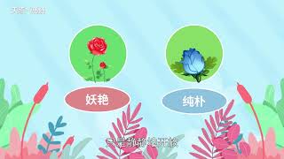 藍玫瑰代表什么意思 藍玫瑰花語