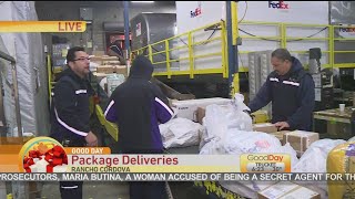 Fedex Holiday Rush
