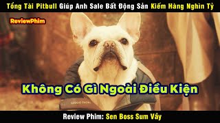 Tổng Tài Pitbull Giúp Anh Sale Bất Động Sản Kiếm Hàng Nghìn Tỷ - review phim