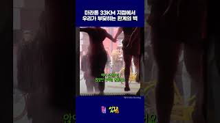 마라톤 33km 지점에서, 우리가 부딪히는 한계의 벽 #마라톤 #풀코스